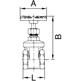 Riegler Muffen-Absperrventil DN 25 Edelstahl 1.4401/1.4408 weiß