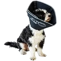 All Four Paws „The Comfy Cone“ Halskrause für Haustiere, Large
