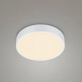 Trio Lighting LED Deckenleuchte Waco, in weiß matt extern dimmbar, flach, Ø 31cm