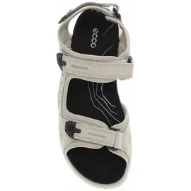 ECCO Offroad Damen gravel 39