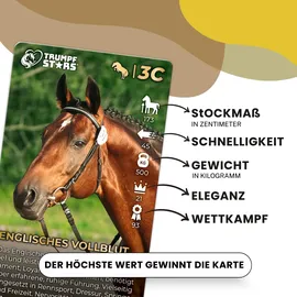 gomazing.de Trumpfstars Pferde und Ponys 3 in 1