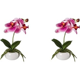 Creativ green Kunstorchidee »Phalaenopsis in Keramikschale«, pink