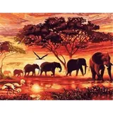 Pracht Creatives Hobby GmbH Diamond Painting Elefanten in der Savanne 30 x 40 cm