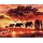 Pracht Creatives Hobby GmbH Diamond Painting Elefanten in der Savanne 30 x 40 cm
