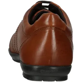 GEOX Symbol Oxfords, Kalb braun 45 EU