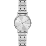 Skagen NA SKW3123 silber