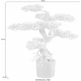 Creativ green Kunstbonsai Bonsai Bonsai, Creativ green, Höhe 65 cm grün 14 cm x 65 cm x 12 cm