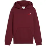 Puma Hoodie Red 152