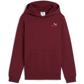 Puma Hoodie Red 152