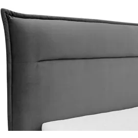 Mirjan24 Tinkus 160 x 200 cm Beige