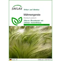 SAFLAX - - 70 Samen