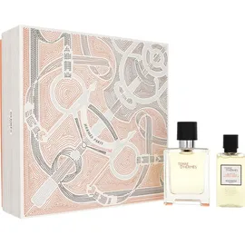 Hermès Terre d'Hermès Eau de Toilette 50 ml + Shower Gel 40 ml Geschenkset