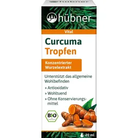 Hübner Curcuma Tropfen 20 ml
