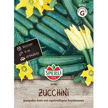Blumen Gemüsesamen Zucchini Leila,