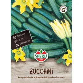 Blumen Gemüsesamen Zucchini Leila,