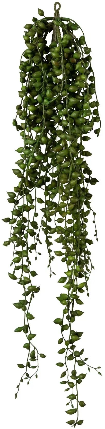 Deko-Pflanze SENECIO - grün