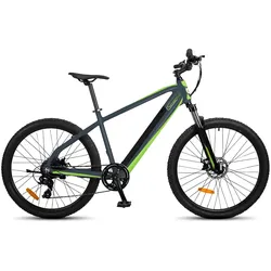 SachsenRAD E-Racing Mountain Bike R8 Ranger