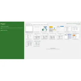 Microsoft Project Professional 2016 ESD ML Win