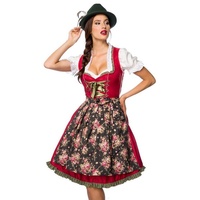 Dirndline Dirndl Verträumtes Dirndl mit Denim, 2-teiliges Set (Dirndl + Schürze) grün|rot S