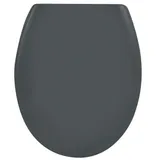 Spirella Premium Toilettendeckel oval Klodeckel mit Quick-Release-Funktion und Softclose Absenkautomatik. Antibakterielle Klobrille aus Duroplast und rostfreiem Edelstahl abnehmbar-Grau, Gray