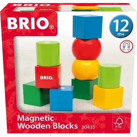 BRIO Magnetische Holzbausteine (30435)