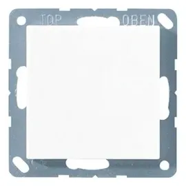 Jung Blind-Abdeckung aws kompl.mit Tragring A 594-0 WW