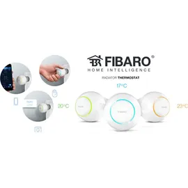 FIBARO Heat Controller Starter Pack Heizungsthermostat 1 St. Weiß
