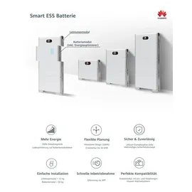 Huawei LUNA2000-15-S0