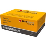 AgfaPhoto Professional Mignon (AA)-Batterie Alkali-Mangan 1.5V 10St.