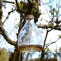 CKB LTD® Wasp Catcher Trap Wespenfänger Wespenfalle Glas Glasflasche - Traditionelles Attraktives Design Insektenfalle Trap Garten Schädlingsbekämpfung