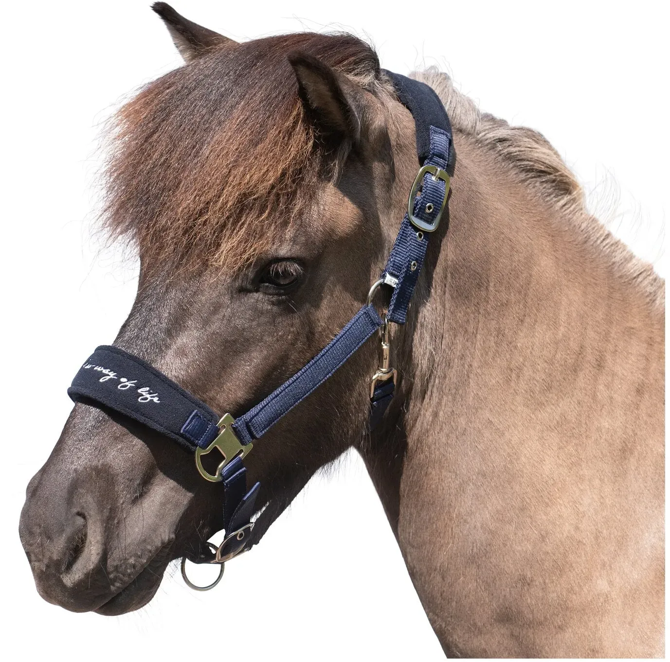 Horse-friends Islandhalfter Fleece Keflavik navy Isländer