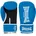 Boxhandschuhe aus Kunstleder ASHDON 08 oz