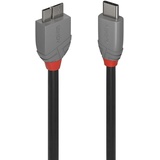 Lindy USB 3.2 Typ C an Micro-B Kabel Anthra Line (0.50 m Schnittstellenkabel