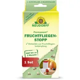 NEUDORFF Permanent FruchtfliegenStopp 2 + 1 Stück