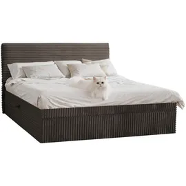 kaiser möbel Boxbett, Braun