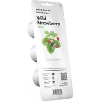 Click and grow Wald-Erdbeere