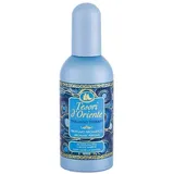 Tesori D'oriente Thalasso Therapy Eau de Toilette 100 ml x1