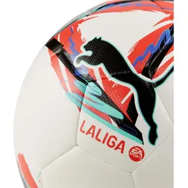 Puma Orbita Laliga 1 Hyb Fußball Mehrfarbig 5
