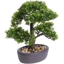 Botanic-Haus Kunstbonsai »Ficus Bonsai«, 25172226-0 grün Ø/H: 32 cm x 32 cm