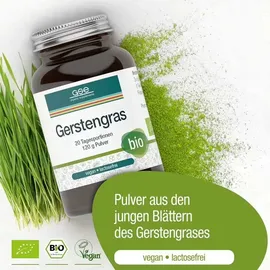 GSE Vertrieb GmbH Bio Gerstengras Pulver 120 g