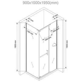 Buylando Clara Eckdusche mit Drehtür 90 x 195 cm silber satiniert