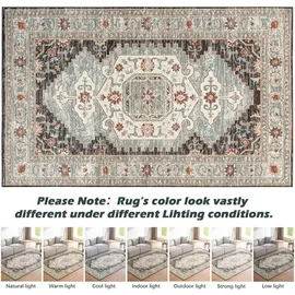 luxuskollektion Teppich Wohnzimmer Braun 200x290CM Waschbar Kurzflor