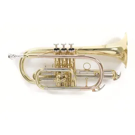 Roy Benson Bb-Kornett CR-202 (Hochwertiges, leichtes Messinginstrument, für den professionellen Einsatz, inklusivem Rechtecketui, mit Rucksackgarnitur), lackiert