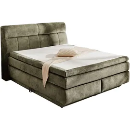 Jockenhöfer Boxspringbett JOCKENHÖFER GRUPPE "Queen, inklusive Strauraum/Bettkasten", grün (grün 460, 23), B:195cm L:230cm, Bezug Bett: Chenille (100% Polyester);Topper und Matratzenspiegel: 100% Polyester, Komplettbetten, Boxspringbett, 7-Zonen-TTFK-Matratze,