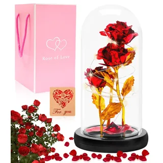 Rose Geschenke für Frauen,Ewige Rose im Glas,Die Schöne und Das Biest Rose