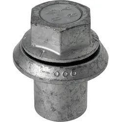 Flachbundmuttern, Druckteller - 3.61152tz