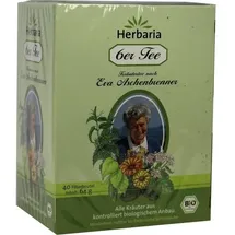 SALUS Eva Aschenbrenner 6er Tee 40x1,6 g