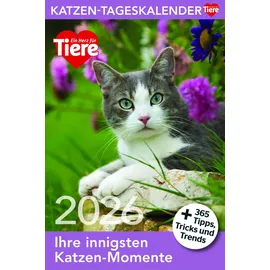 Bruckmann Verlag GmbH Katzen Tageskalender 2026