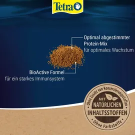 Tetra TetraMin Mini Granules langsam absinkendes Fischfuter für kleine Zierfische wie z.B. Salmler und Barben, 100 ml