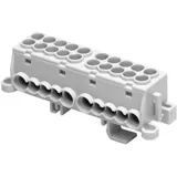 Striebel & John ZK411